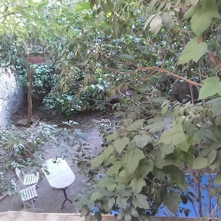 Appartement Centre Vue Jardin Narbonne Eksteriør bilde